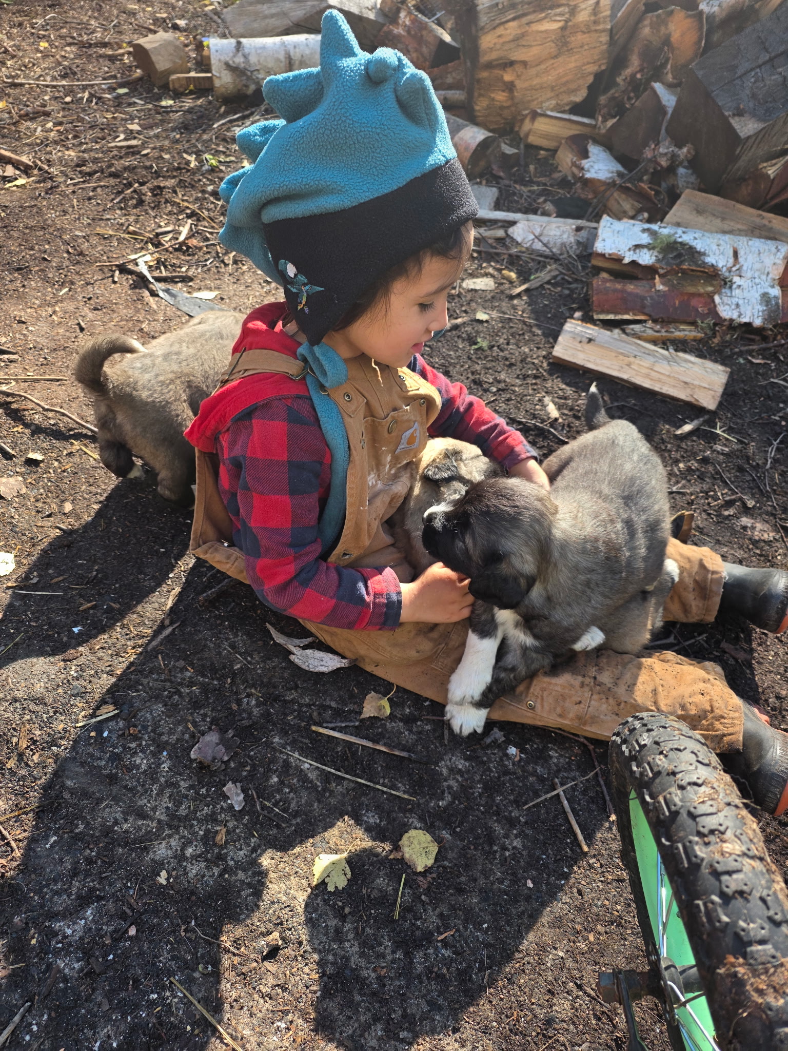 Little girl in a dinosaur hat cuddling a puppy