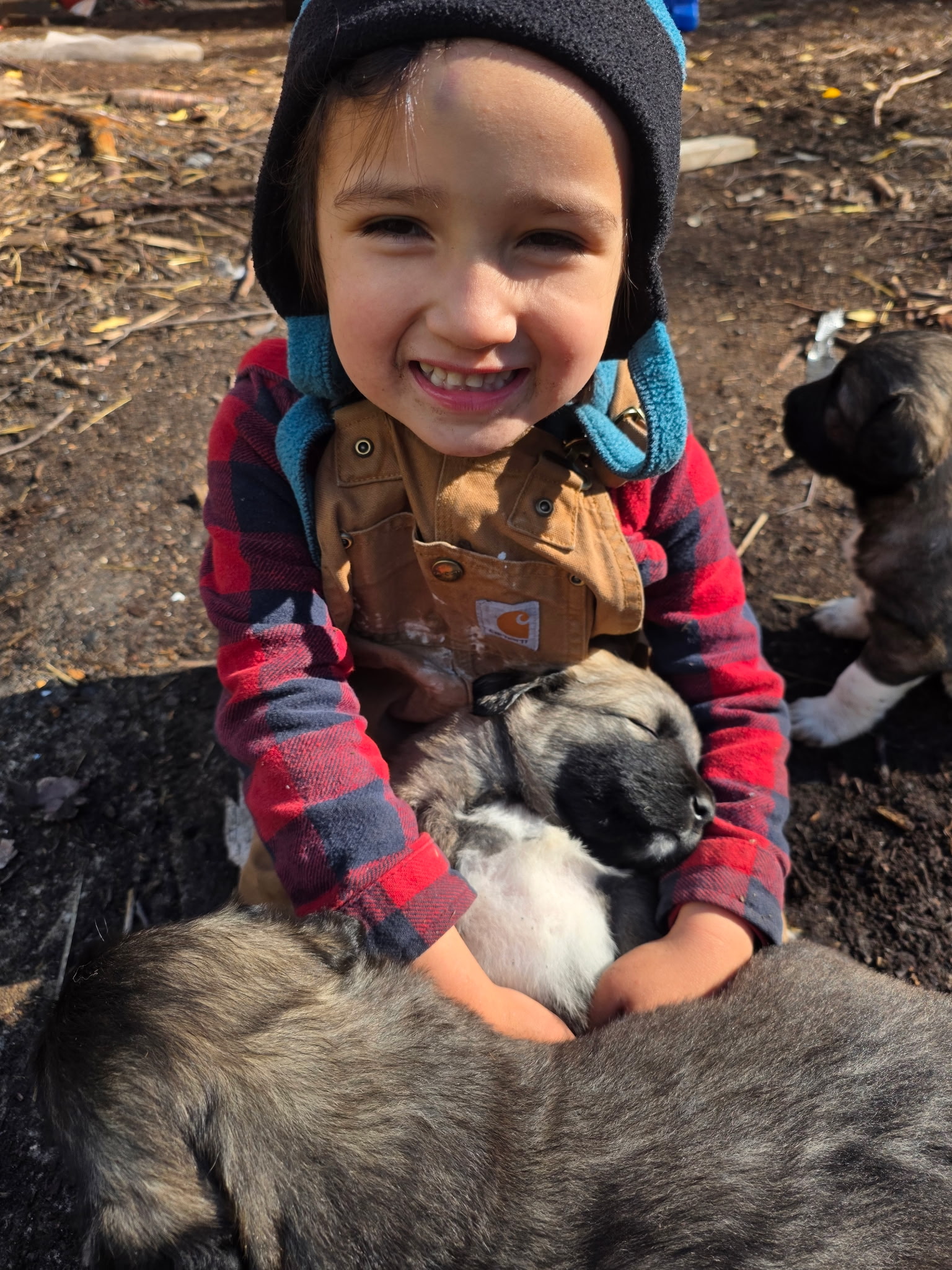 Child holding a sleeping puppy