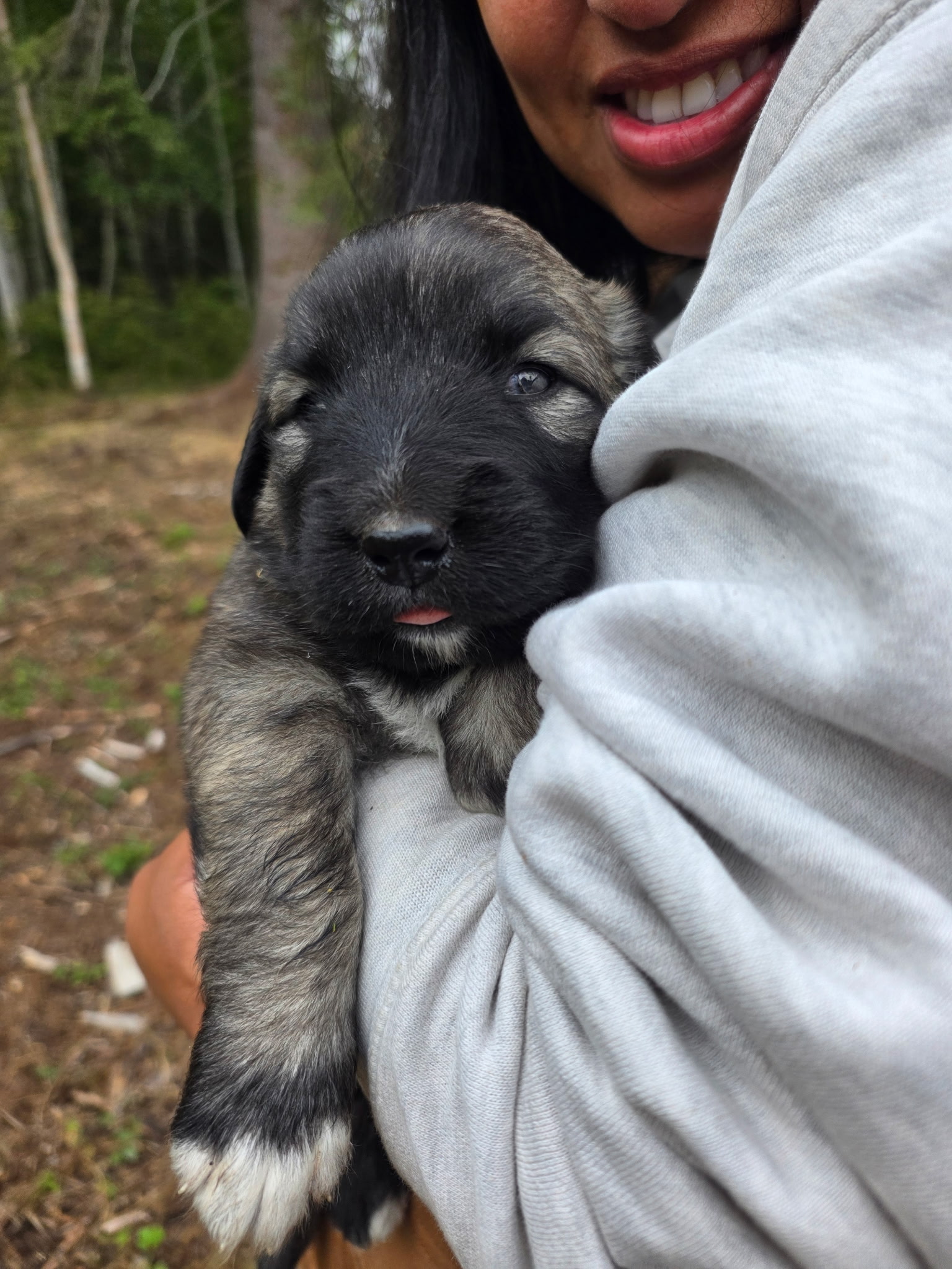 Puppy held close against a shoulder in the woods