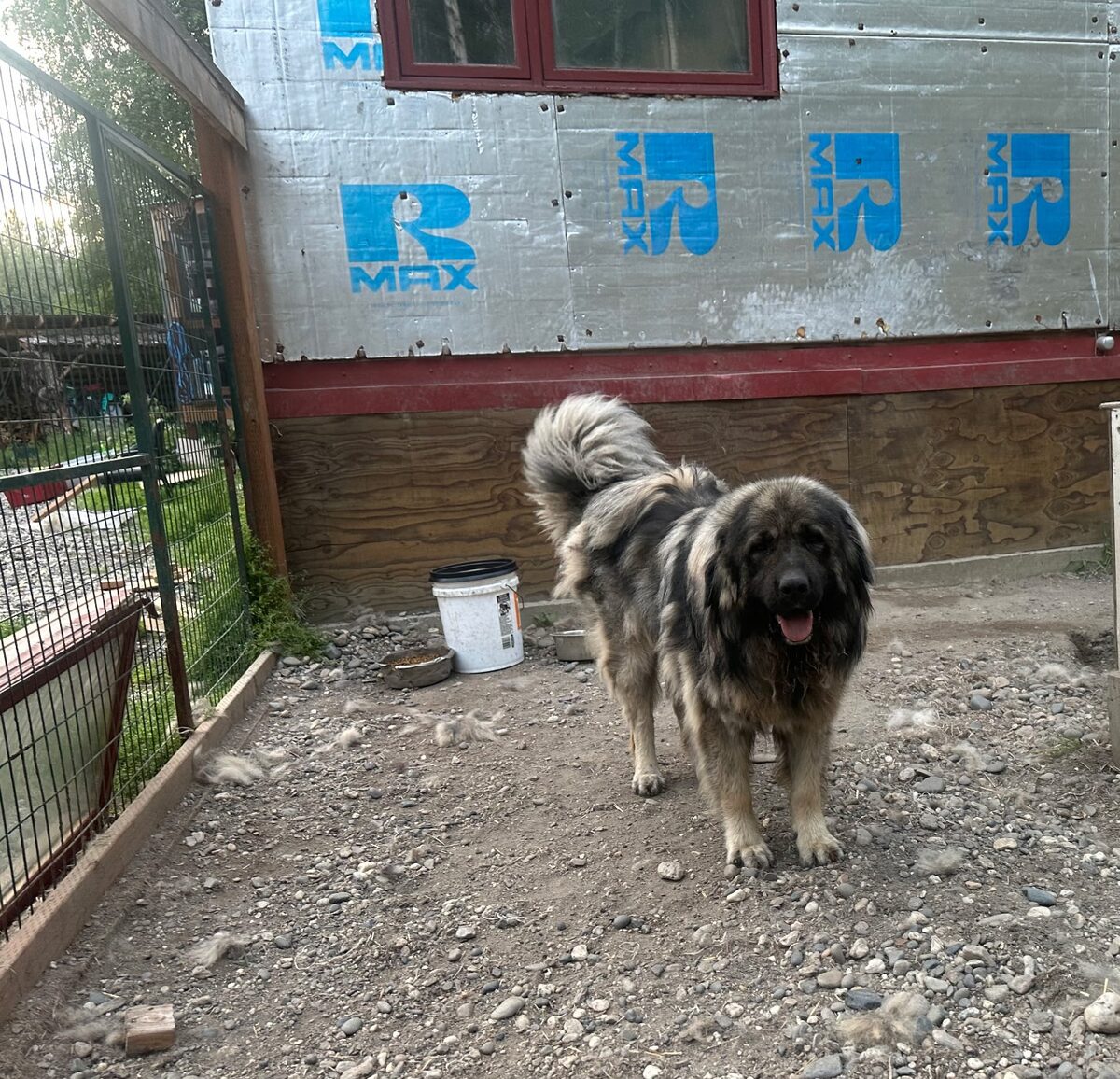 The father in his outdoor run