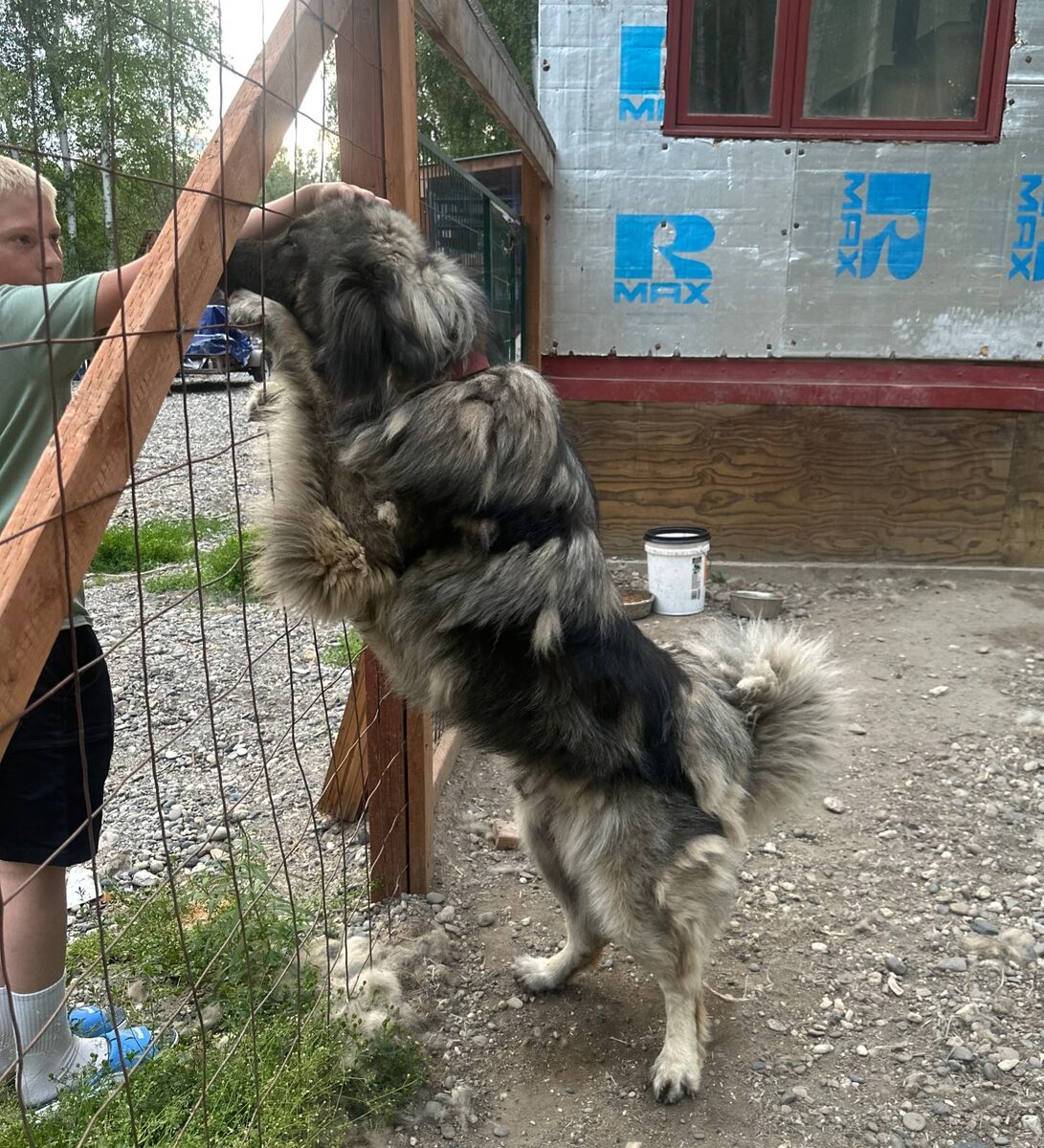 The father greeting a child at the fence